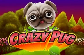 Crazy Pug