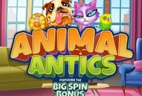Animal Antics